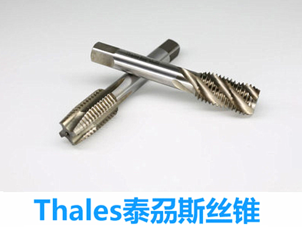 泰刕斯丝攻